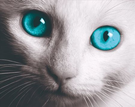 为什么萌新的世界进不去,为什么萌新世界那么难进