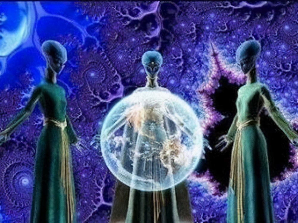 章鱼真的是地球原住民吗,章鱼是几年前才被科学家发现的