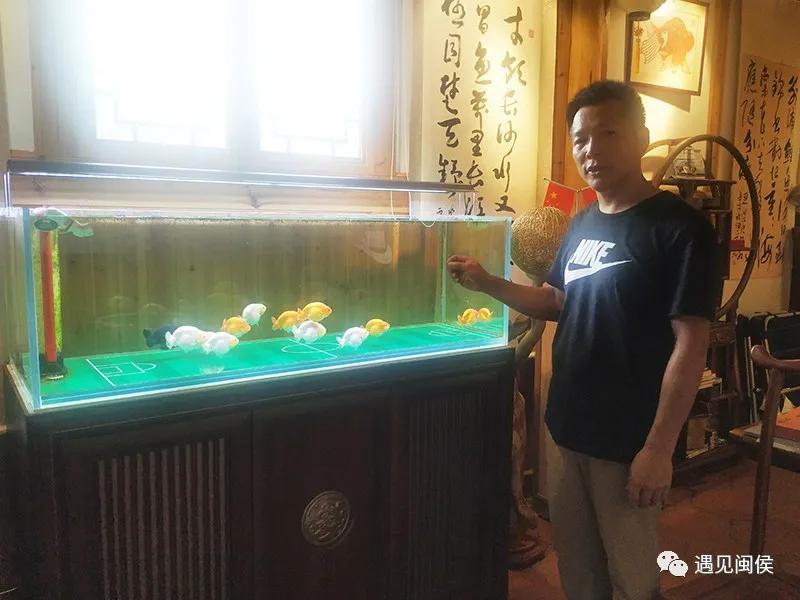 见过会踢足球的闽侯金鱼吗？盘它