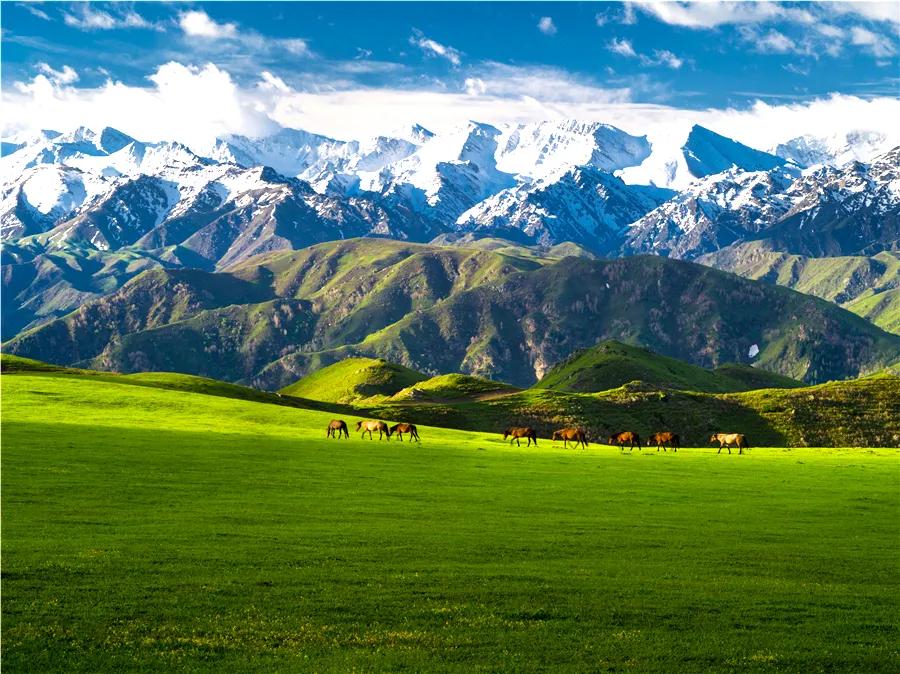 塔城市凉快的公园,塔城地区避暑的地方