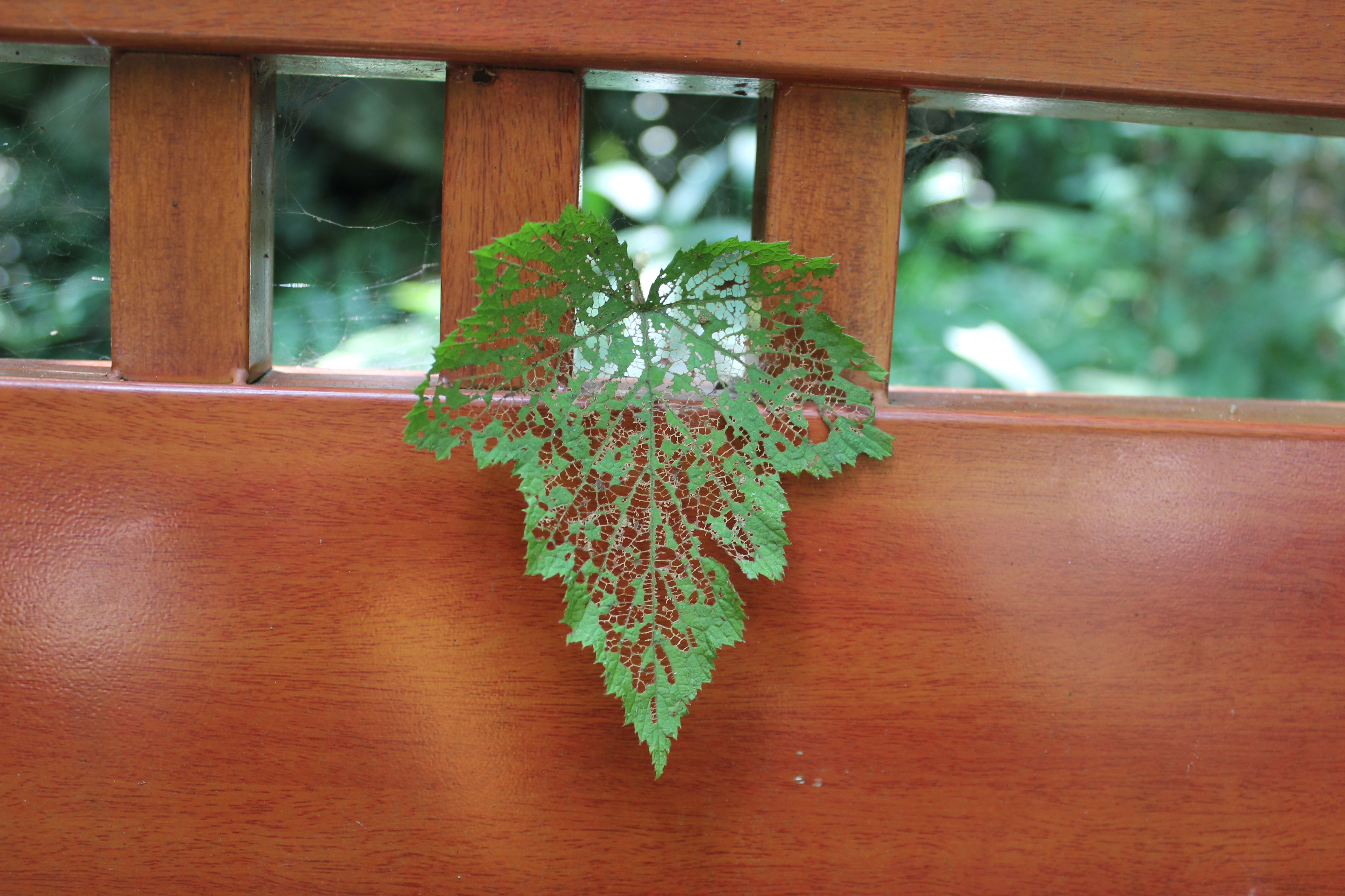 武汉周边避暑胜地｜端午武汉至咸宁九宫山2日自驾亲子游路线分享