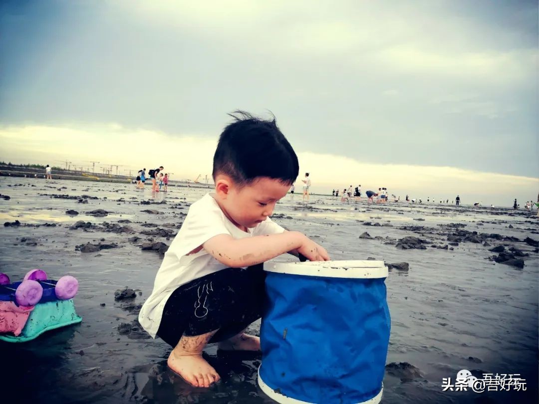 遛娃|南汇新城海滩，魔都夏日必打卡？