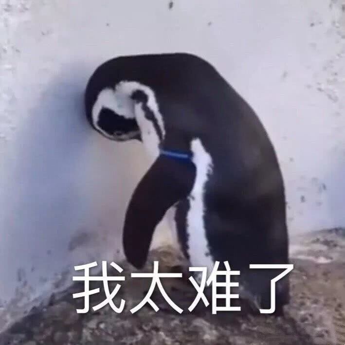 清包半包全包装修的区别是什么,装修中全包跟半包的区别在哪里