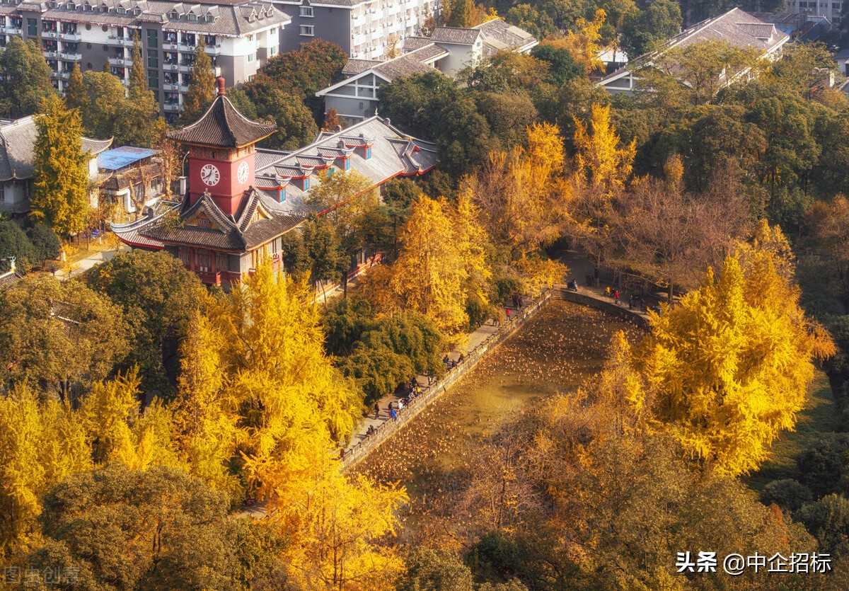 四川大学华西口腔医院会议室视频会议系统需求公告