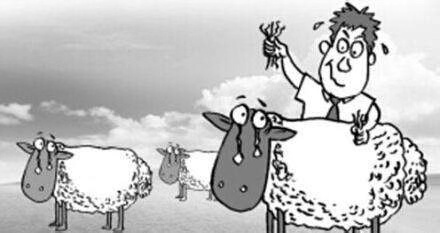 羊毛*党**大揭秘：网上所说的羊毛*党**到底是怎么操作的？