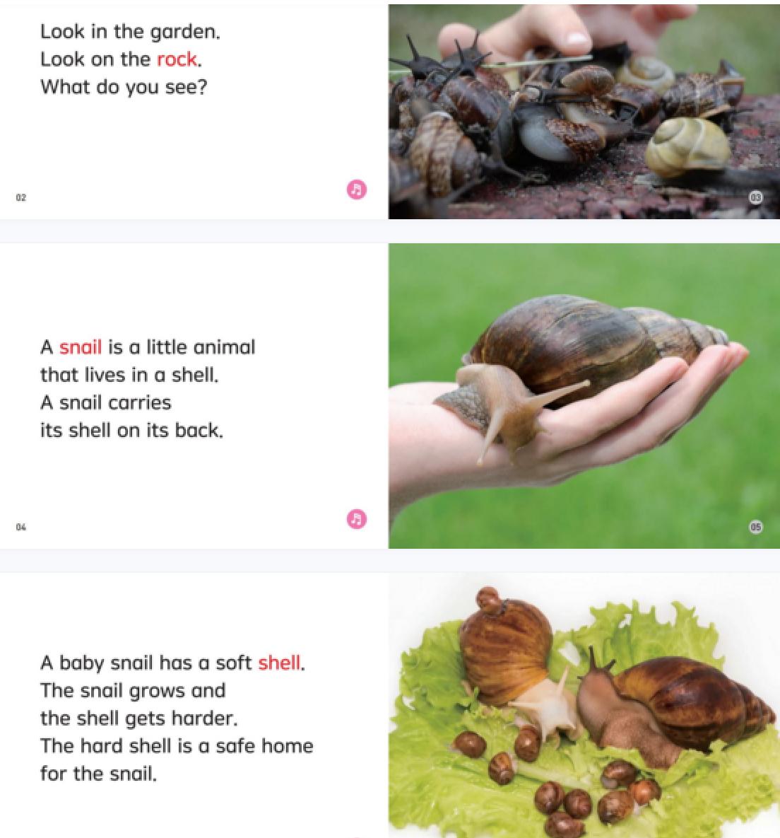 孩子英语零基础，家长英语渣，坚持刷《海尼曼》3个月碾压外教课