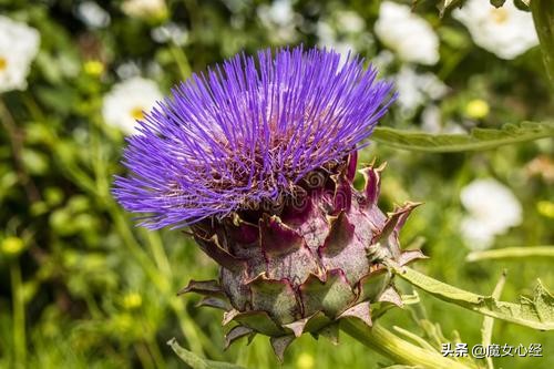 舒缓型护肤品主要功效是什么,修复镇静舒缓肌肤护肤品的卖点