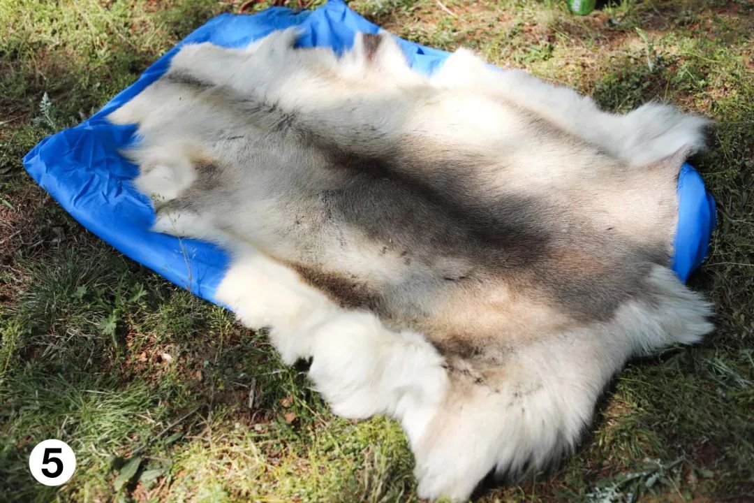 bushcraft技巧,bushcraft新技巧