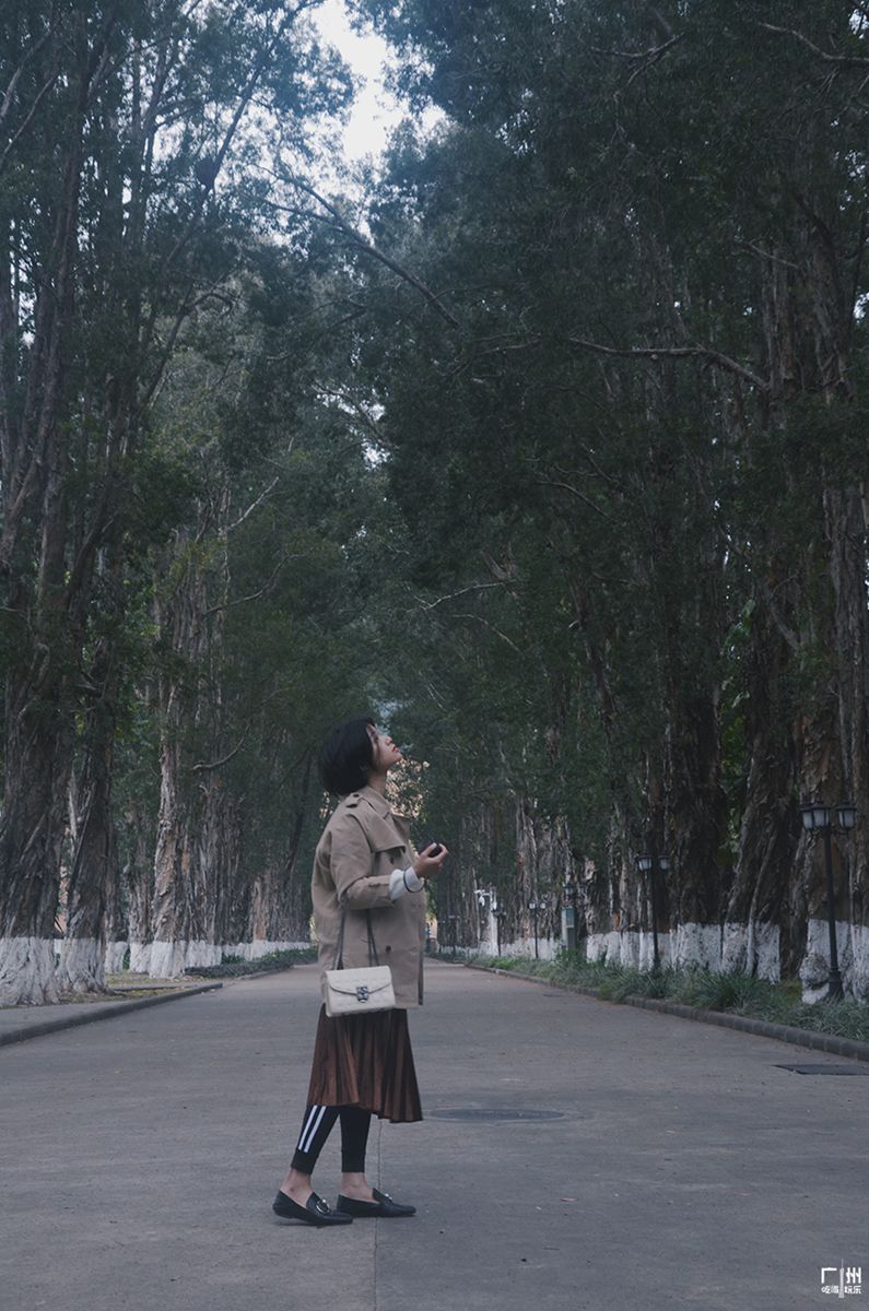 广州免费室内拍照地方推荐,广州拍照免费场景推荐