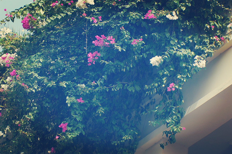 人才奇缺的十大专业就业前景广阔,未来最吃香的金饭碗专业