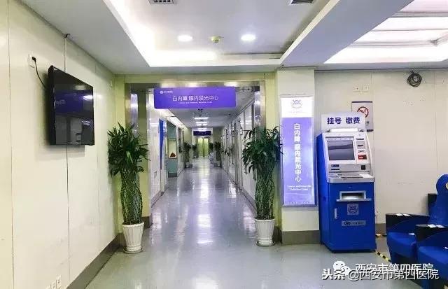 「清晰视界」“老伴儿，再次看见你真好”