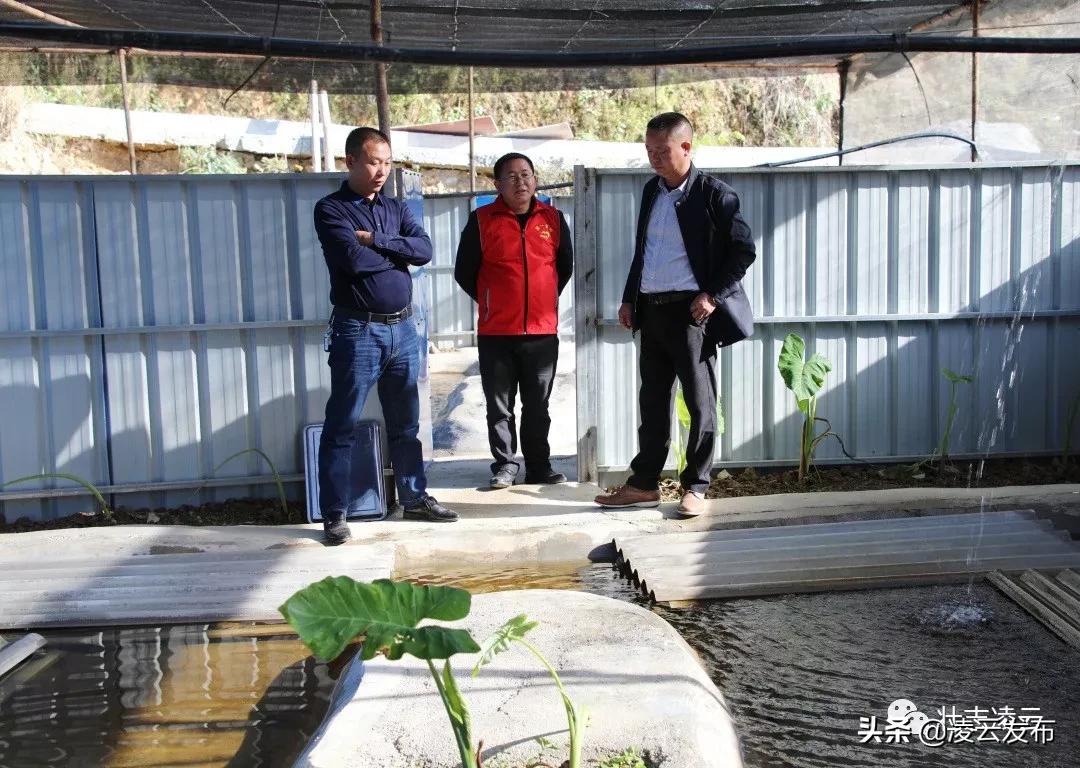 李华志：“猪师兄”变身“蛙司令”