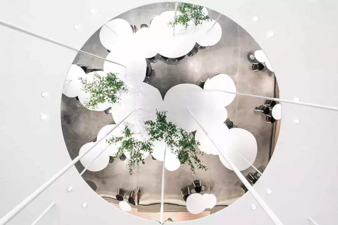 喜茶的全部奶茶,喜茶每杯的精髓