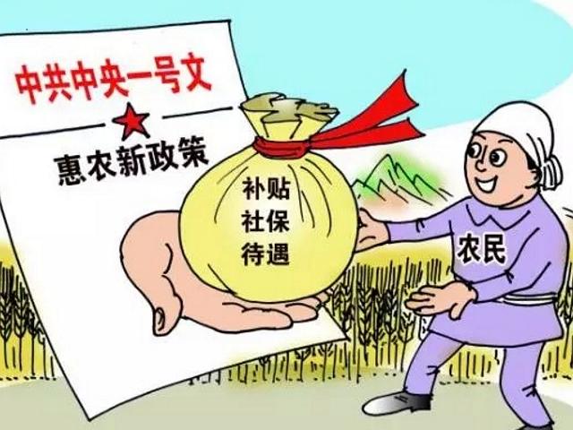 官方发布关于农村补贴的最新政策,农民又有哪5项补贴政策