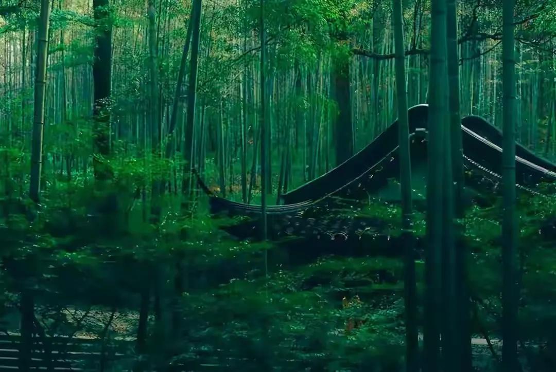 深林人不知明月来相照下一句,深林人不知明月来相照译文