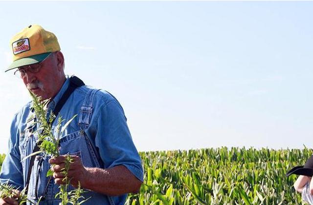 俄罗斯向中国大量进口的产品,俄罗斯进口5万箱方便面