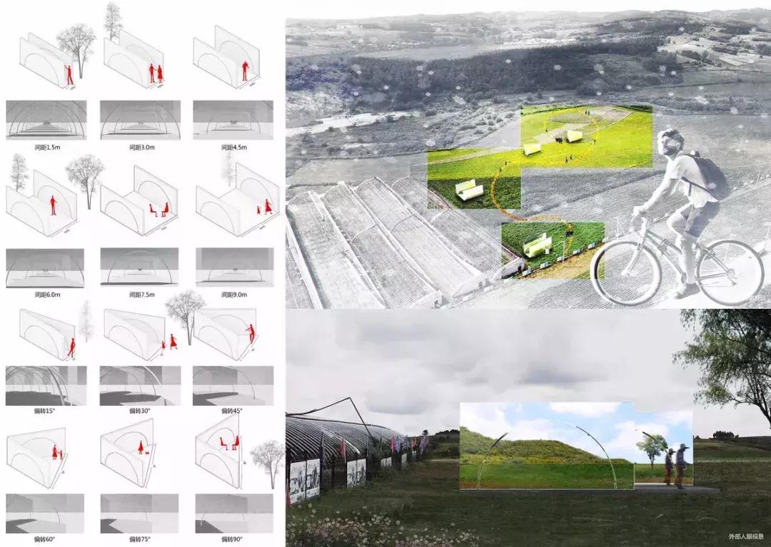 获奖作品广场舞大赛,莲花山杯全国摄影大赛