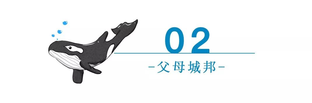 父母说为你好但却说很难听的话,父母总是说为了你好视频