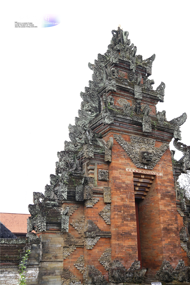 印尼猫屎咖啡比普通咖啡贵几倍,雅丁山印尼猫屎风味咖啡价格
