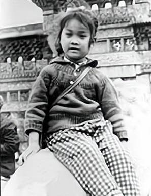 “傻大姐”那英的成名史,那英的情感故事