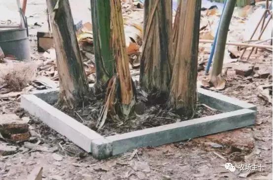 改造山野小院记录田园生活,花4万块钱改造的小院