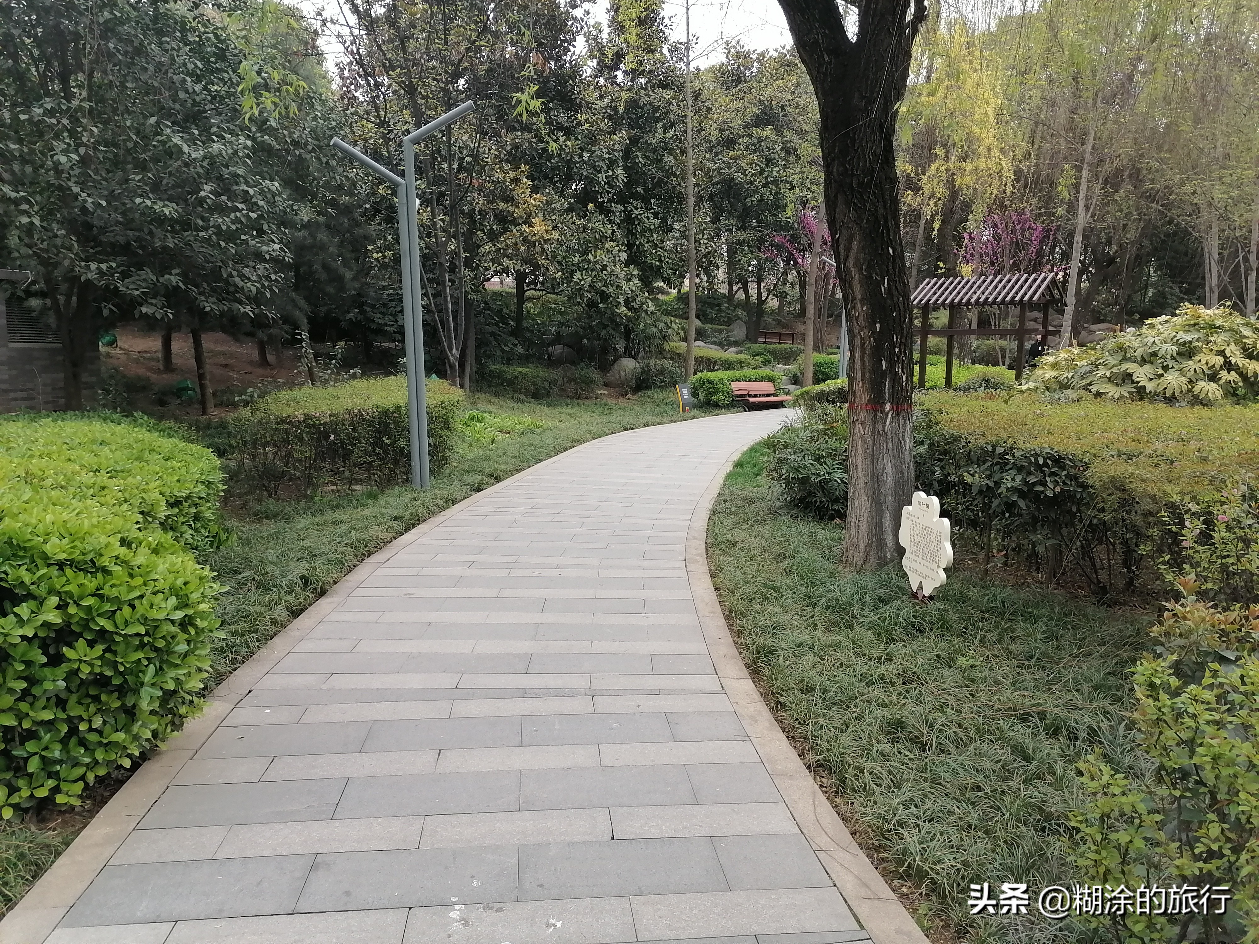 西安高新区公园推荐,西安的高新区在什么地方