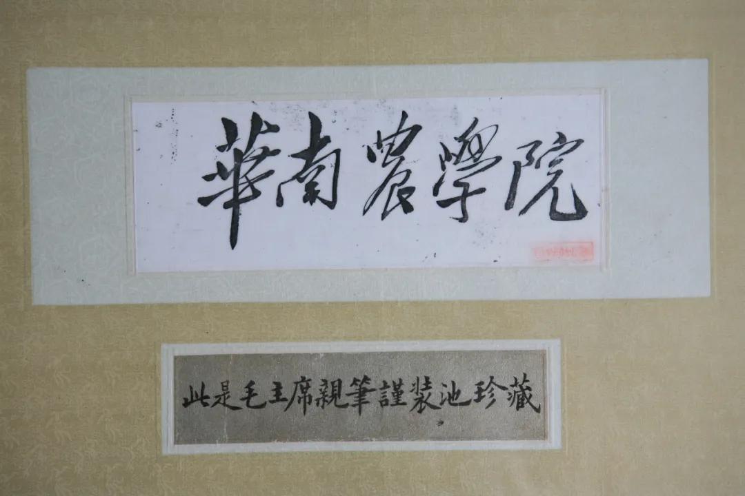 报考华南农业大学,华农报录比