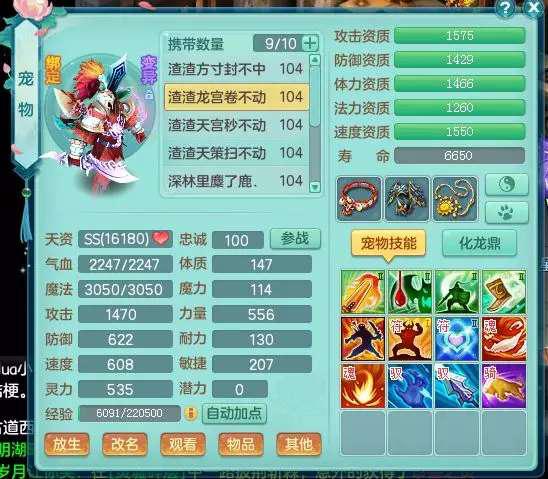 神武4端游酒仙小熊猫,神武4新宠物火猪骑士