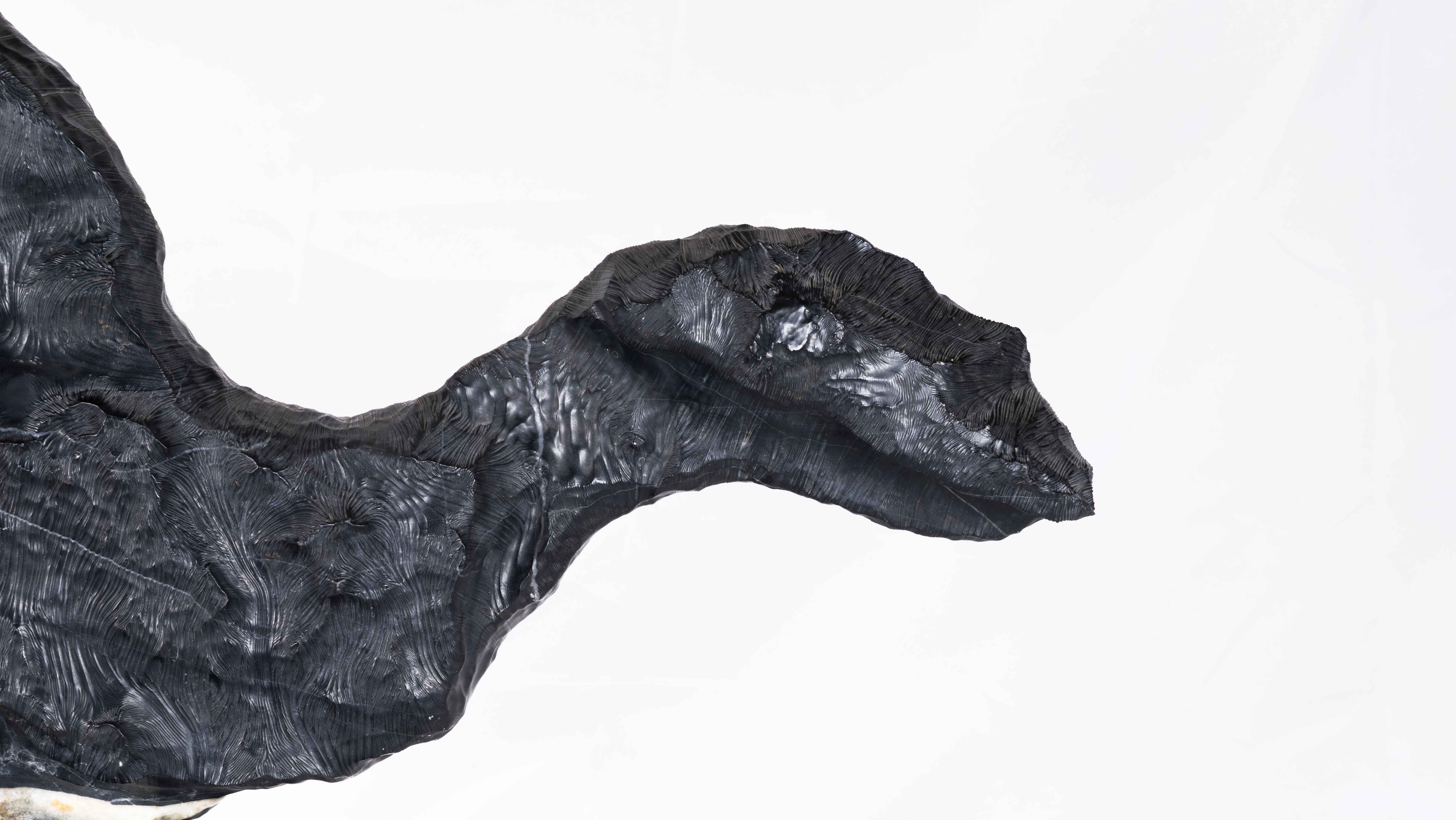 穿越古今：“两龙一凤”灵璧磬石，年龄达数亿岁