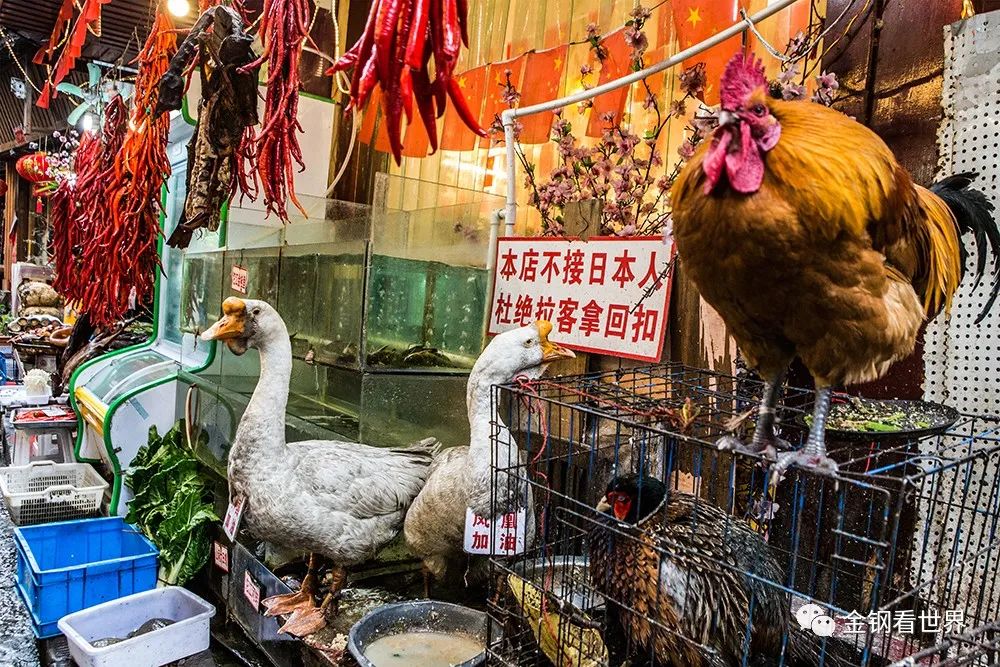 凤凰周边县旅游攻略自由行,湖南省凤凰县游玩