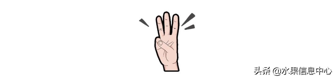 水果批发市场卖水果怎么收费,新手去水果批发市场的几大技巧