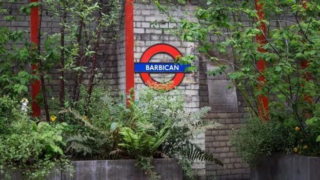 浼︽暒缁垮湴鑺卞洯,浼︽暒缁垮湴鑺卞洯瑙嗛