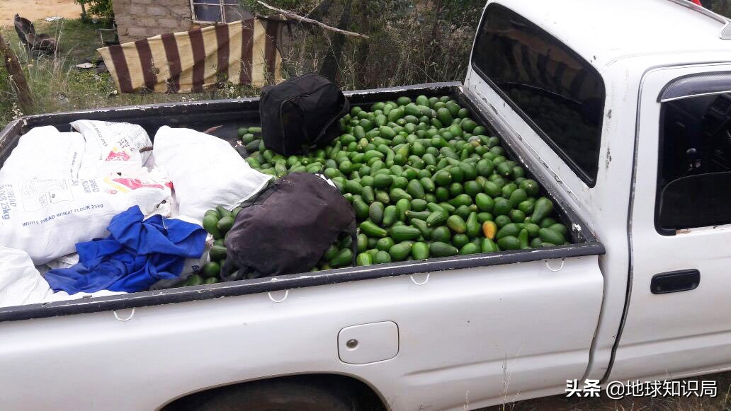 黑帮来了！救救农民！地球知识局
