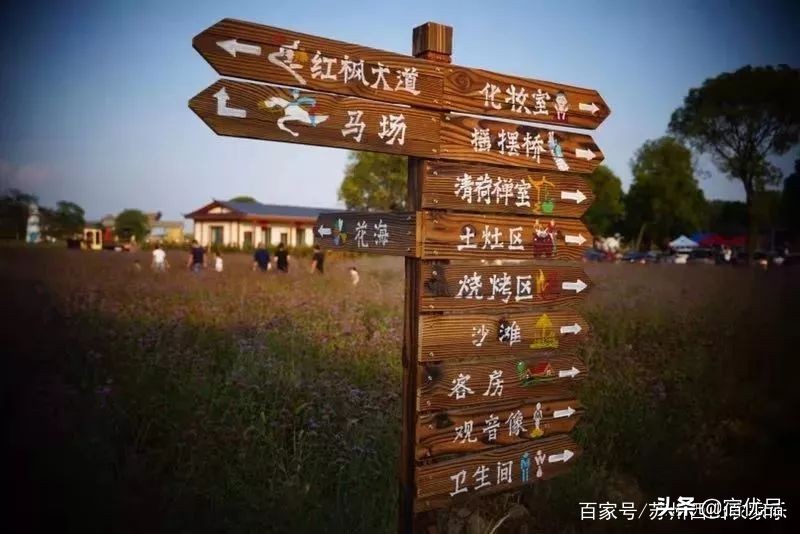 河源市连平县忠信镇大湖花海,太湖花海主题乐园