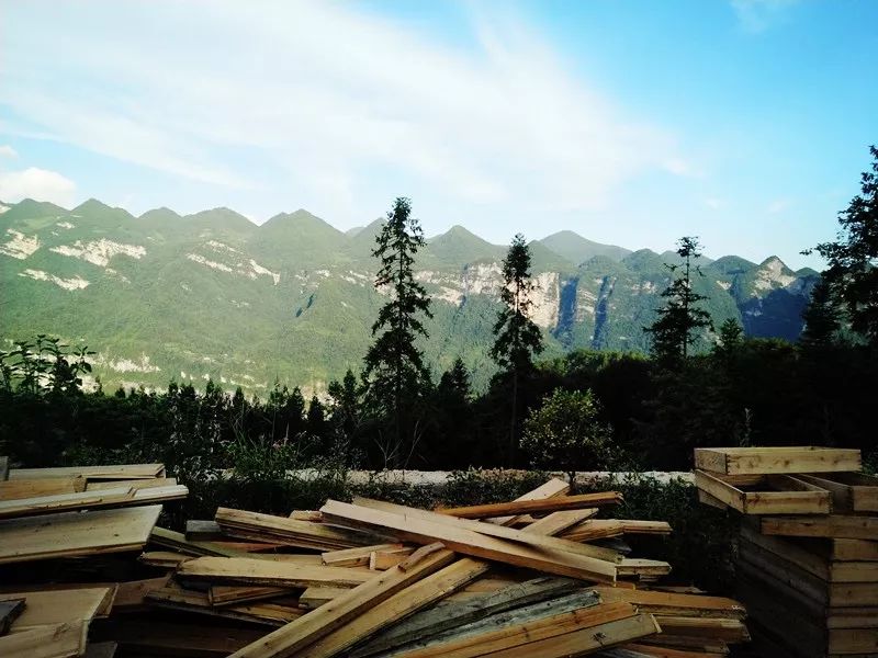 恩施鹤峰旅游攻略一天,恩施鹤峰旅游攻略