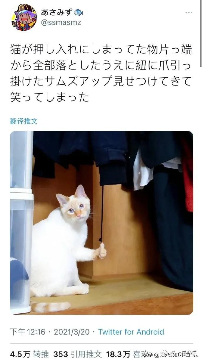 李英爱学腹语,2015韩国小姐李英爱腹语视频