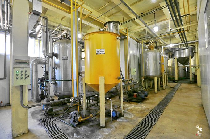 赞皇核桃树苗圃基地,河北野山上哪里有野生核桃树