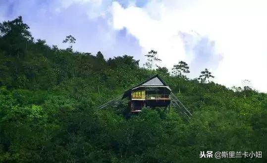 一次只接待一个顾客,一次只接待一个人的酒店