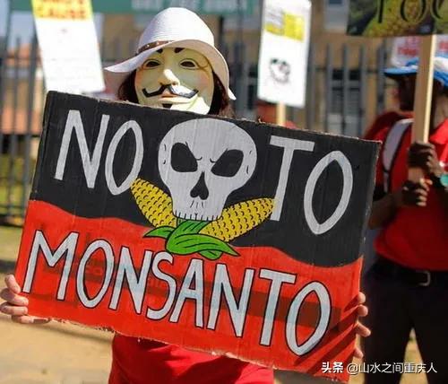 DDT、橙剂、转基因：生态环境摧毁者—孟山都