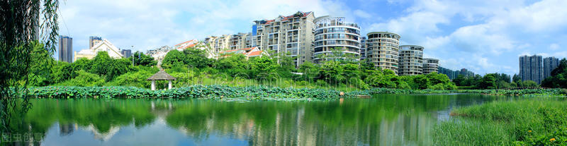 苗木冬季养护标准,盛夏园林苗木养护