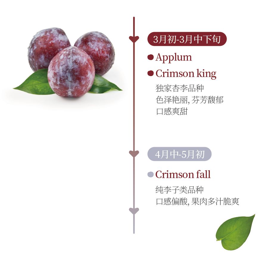 鍙堝ぇ鍙堢敎鐨勬亹榫欒泲鏉庡瓙,鎭愰緳铔嬫潕鍙ｆ劅