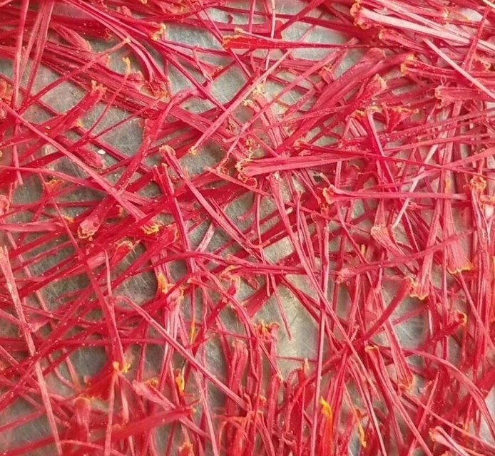 藏红花种植的前景与利润,藏红花种植项目前景如何好种吗