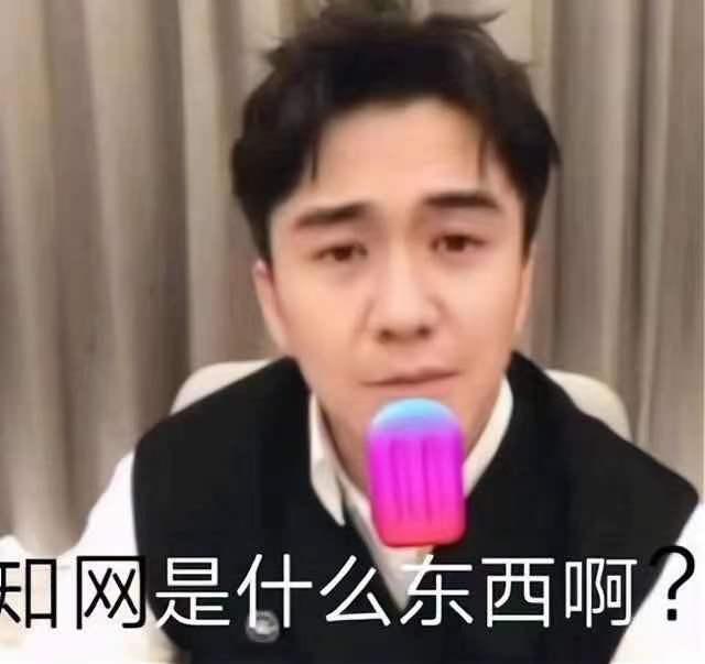 论文查重翟天临事件100字,知网怎么查重翟天临