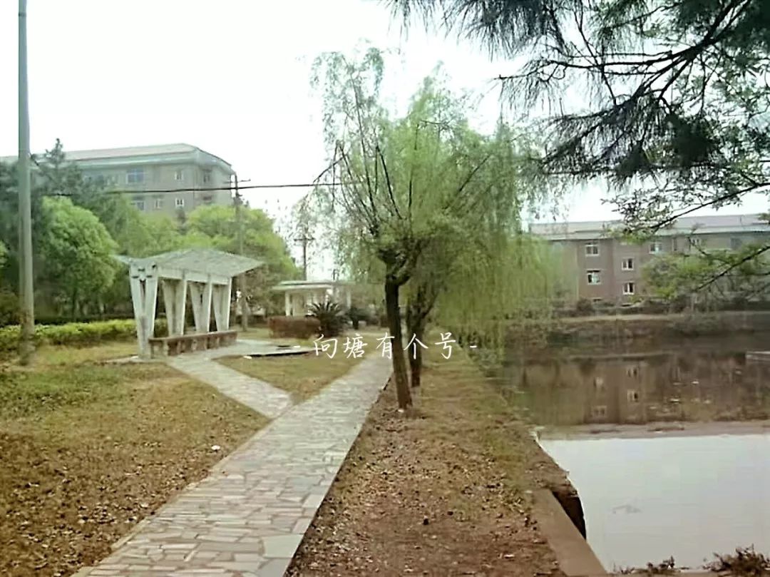 向塘好久不见,向塘中学