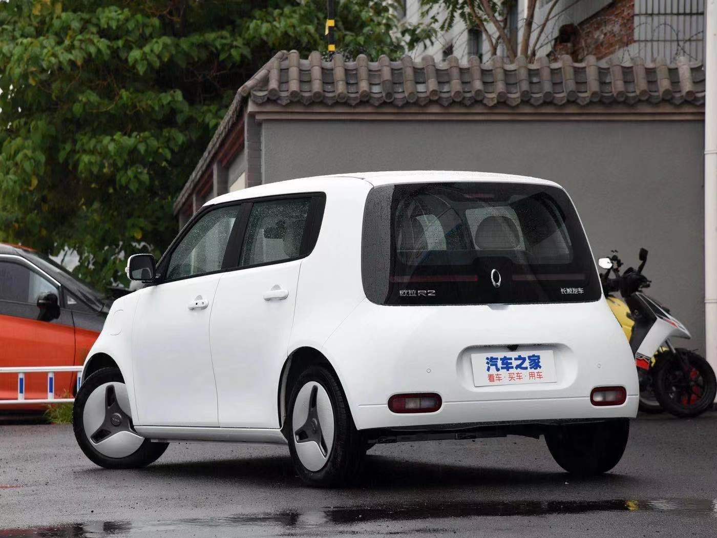 薛定谔的猫实测,欧拉白猫小野猫试驾