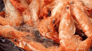 湛江人有鱼有虾,我们湛江属于广府还是客家