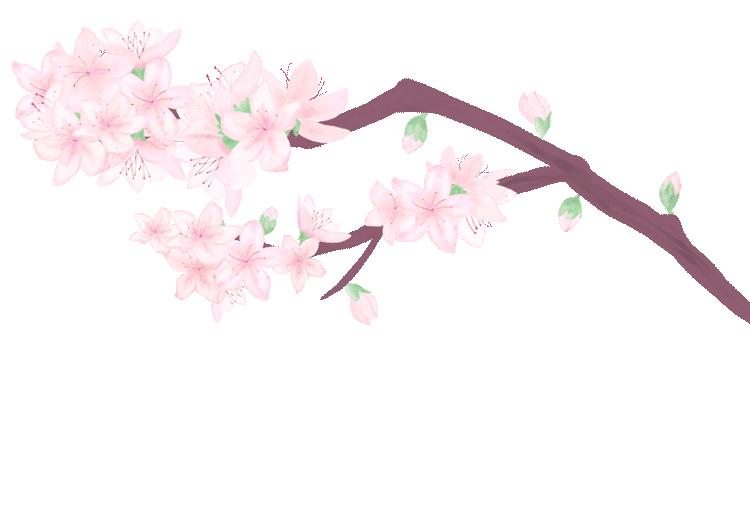 春天到户外寻一场花开,春天踏青来看花