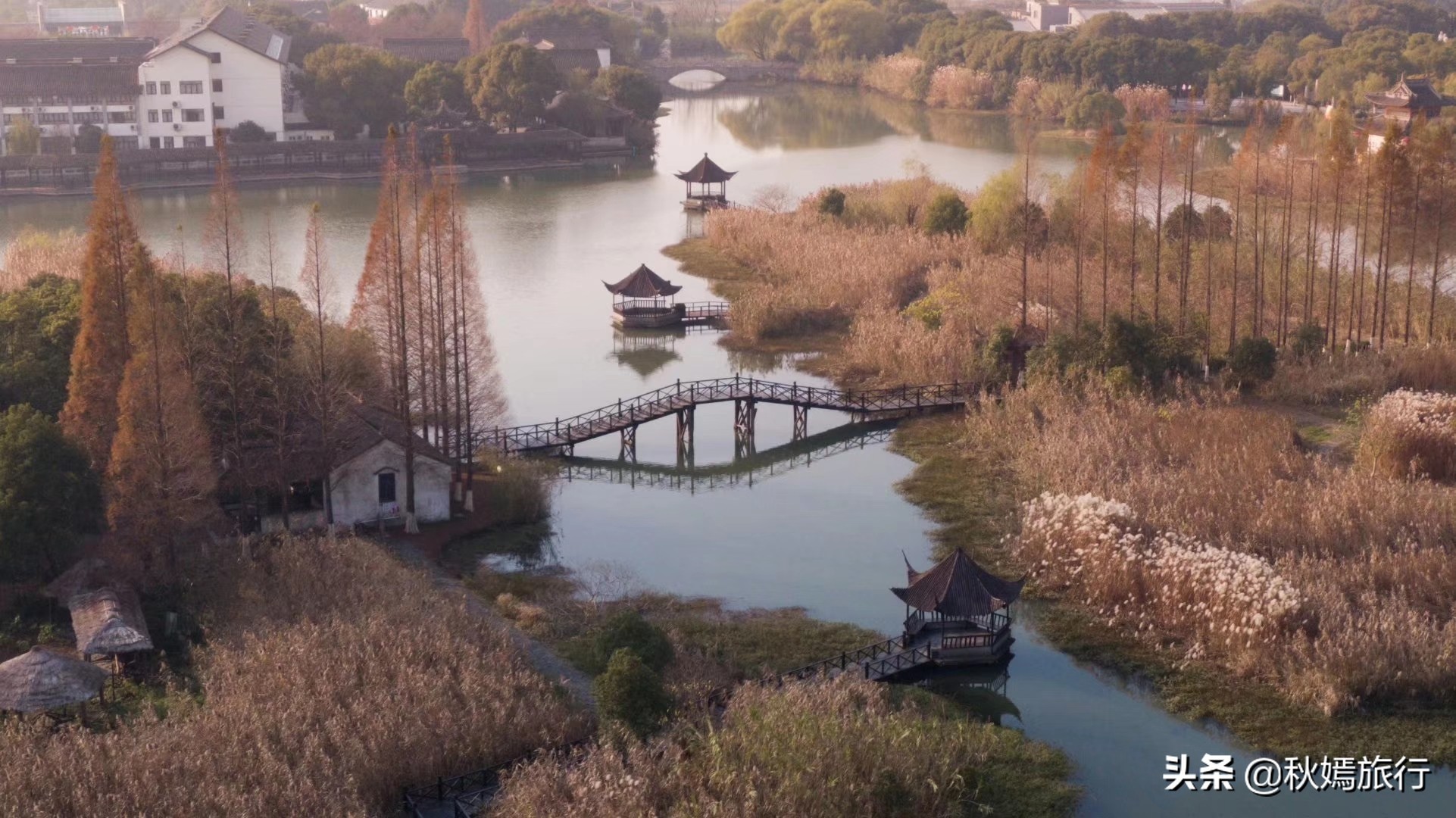 这座华东地区最大的湿地公园，拥有一千多亩芦苇荡，游客络绎不绝