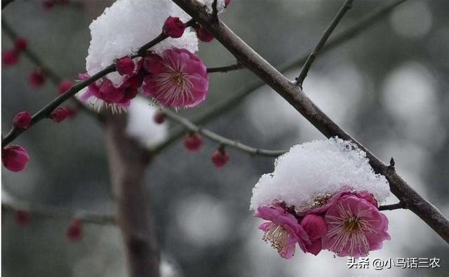 2019年属于双春年吗,2020双春年是哪几天