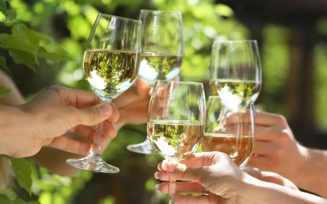 葡萄酒需要醒酒多长时间才更好喝,葡萄酒怎么区分需不需要醒酒